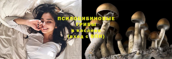 эйфоретик Верхний Тагил