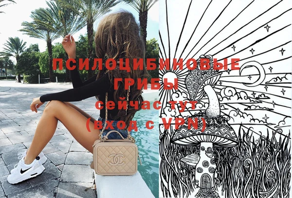 спайс Верея