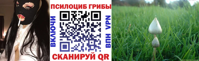 Галлюциногенные грибы ЛСД  shop состав  Прокопьевск 